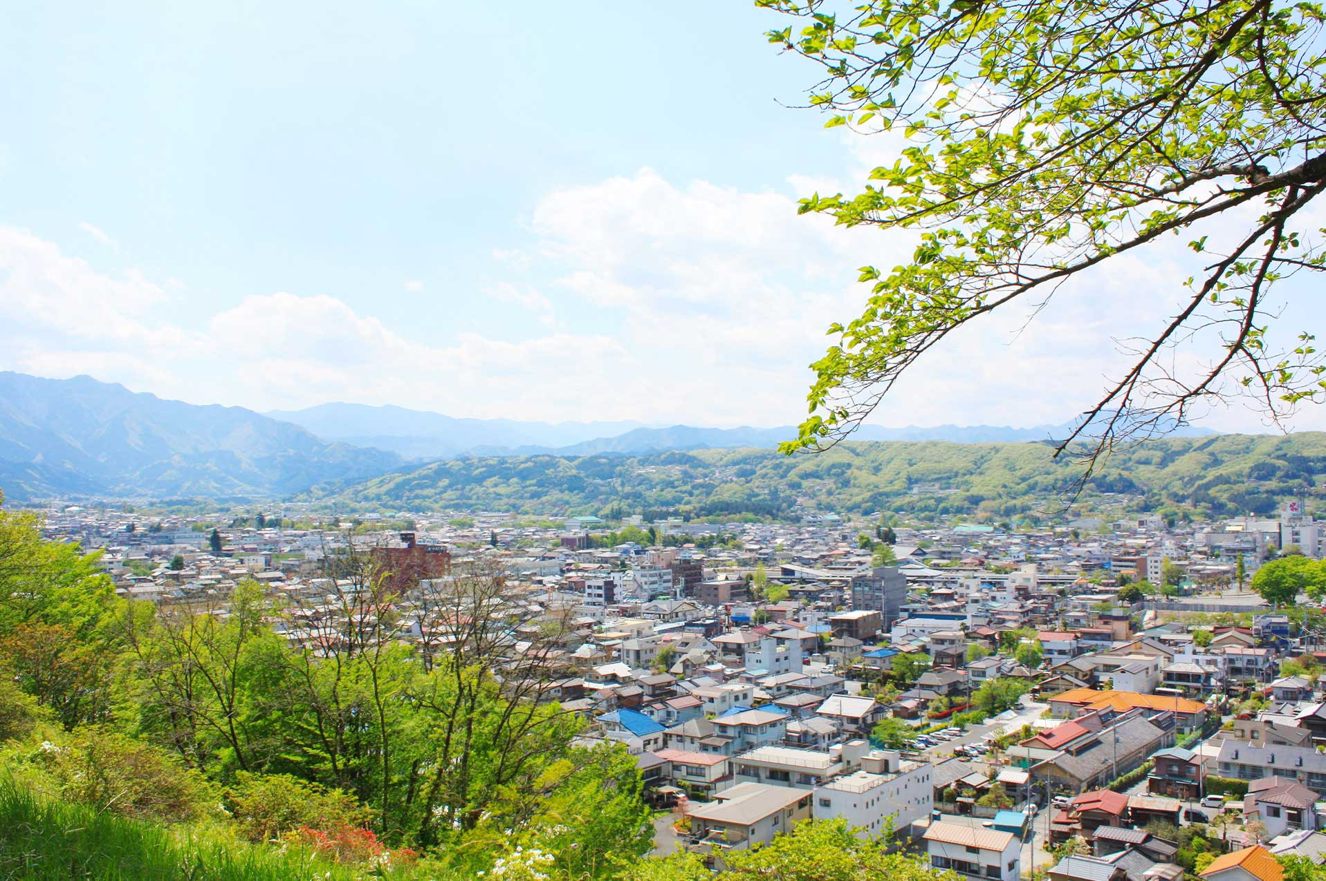 行政書士エム・ワイ・ジェイ事務所