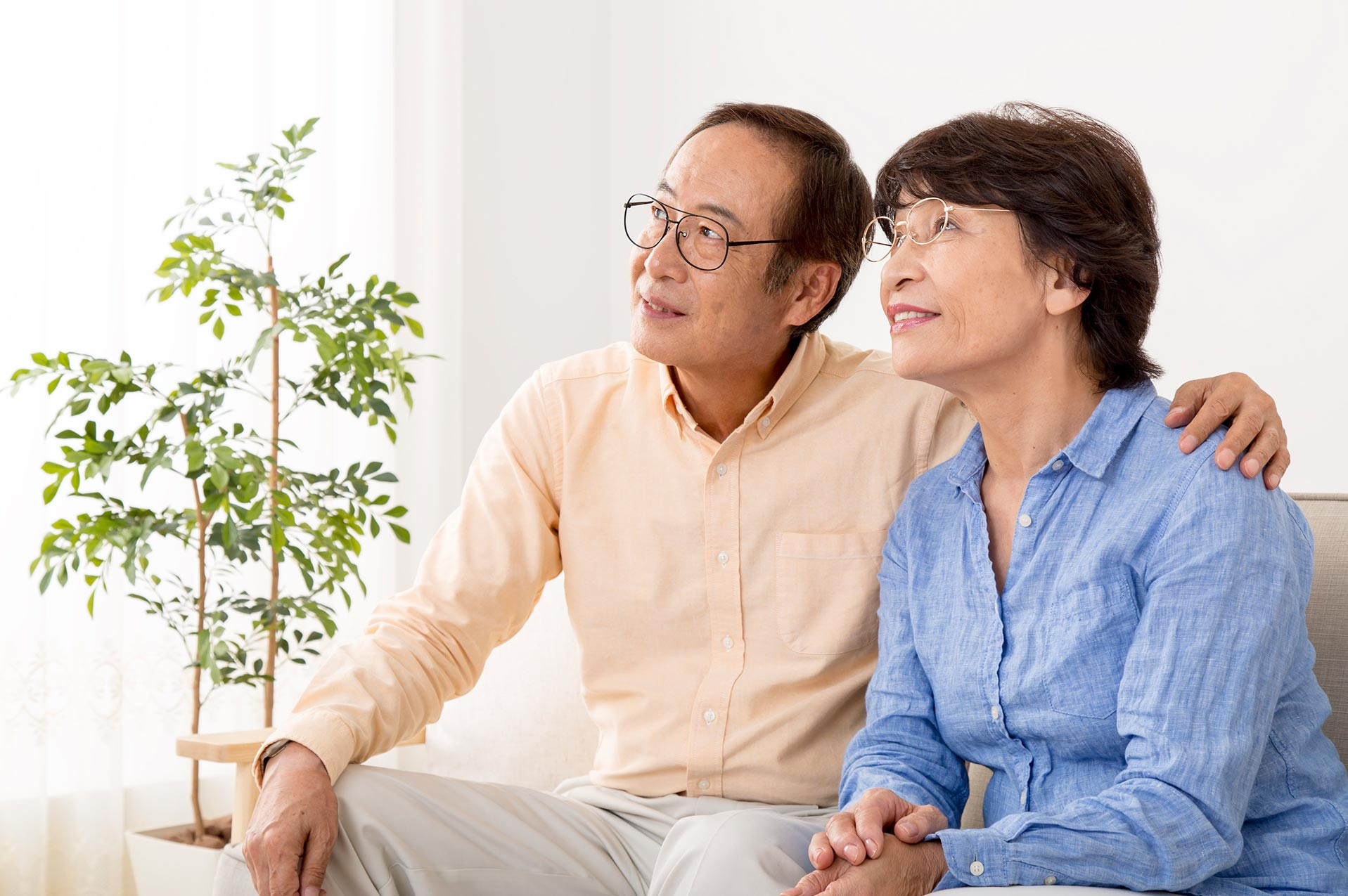 行政書士エム・ワイ・ジェイ事務所